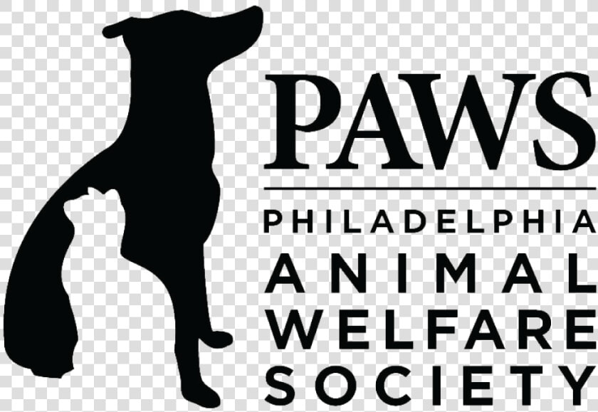 Philadelphia Animal Welfare Society  HD Png DownloadTransparent PNG