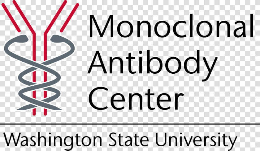 Mab Badge   Wsu Monoclonal Antibody Center Logo  HD Png DownloadTransparent PNG