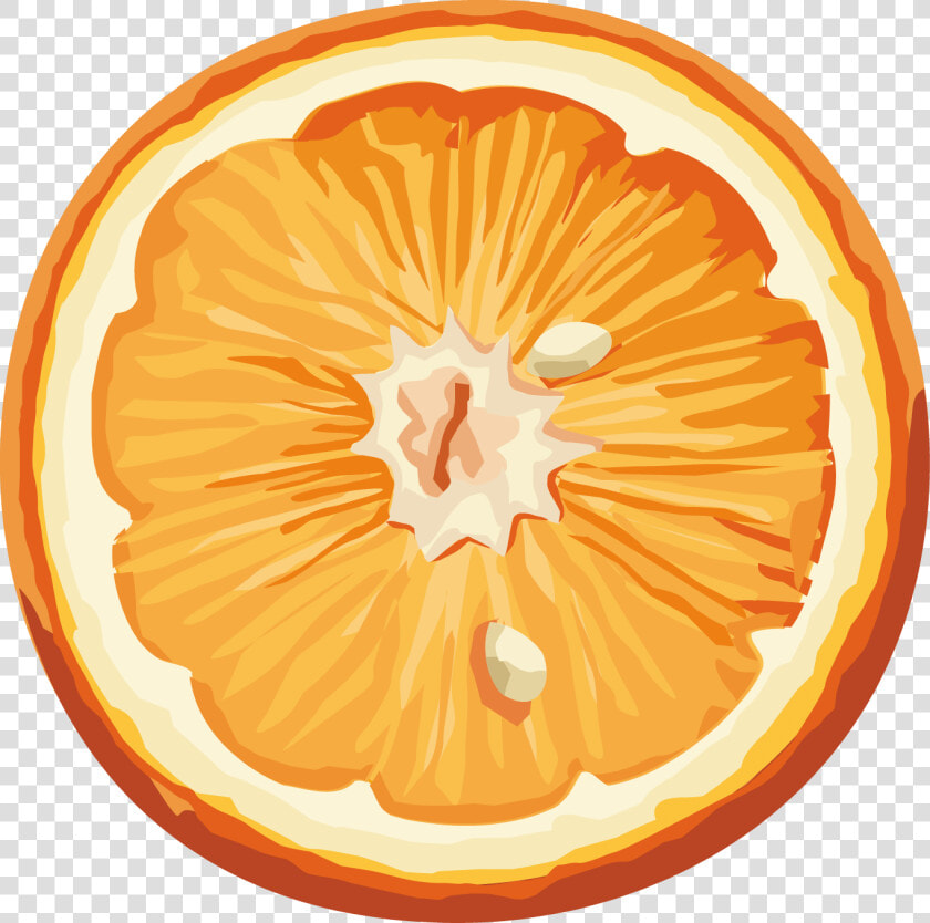 Free Png Download Orange   Апельсин Рисунок На Прозрачном Фоне  Transparent PngTransparent PNG