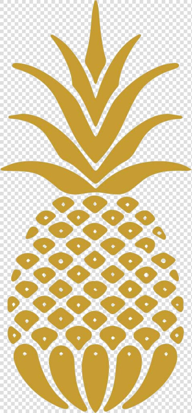 Rosen School Of Hospitality Pineapple  HD Png DownloadTransparent PNG