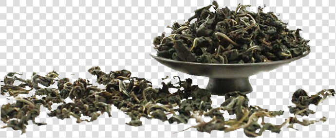 Nilgiri Oolong Tea Leaf Png Hd Image   Scrap  Transparent PngTransparent PNG