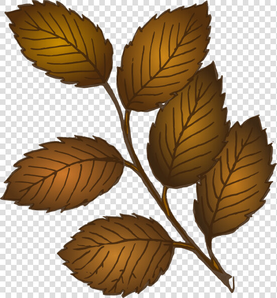 Fall Leaves Branch Svg Clip Arts   Brown Leaves Clipart  HD Png DownloadTransparent PNG