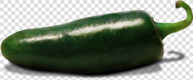 Zucchini  HD Png DownloadTransparent PNG