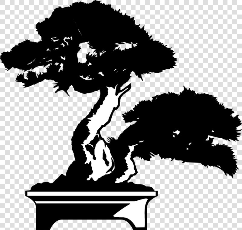 Yelm Bonsai Nursery   Bonsai Tree Black Png  Transparent PngTransparent PNG