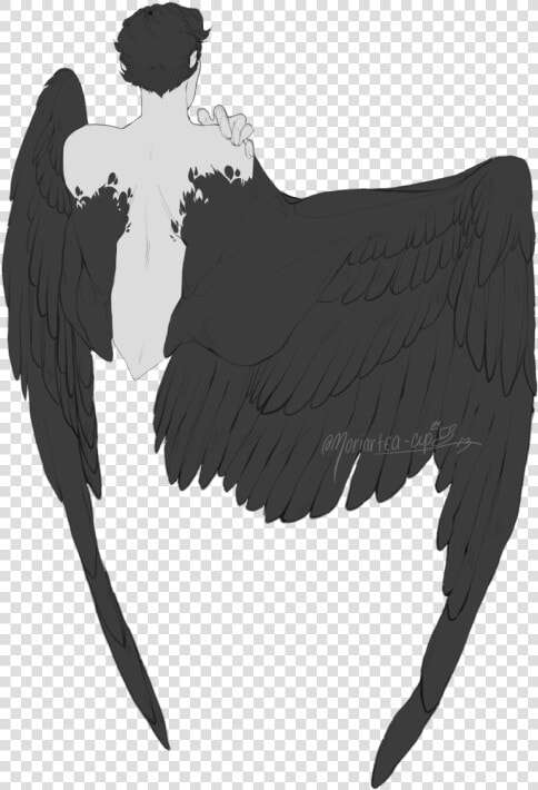 Angel Wings Drawing Reference  HD Png DownloadTransparent PNG