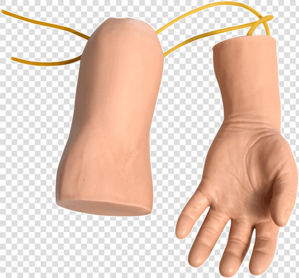 Hand And Elbow Combined Intravenous Transfusion Training  HD Png DownloadTransparent PNG