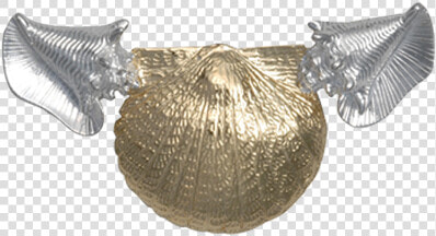 Conch Shell Png  Transparent PngTransparent PNG