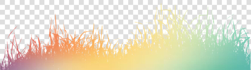 Color Grass Silhouette Png Download   Grass  Transparent PngTransparent PNG