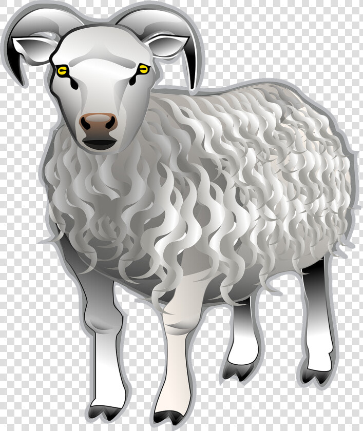 Sheep Ram Animal Free Photo   Clip Art Kambing  HD Png DownloadTransparent PNG