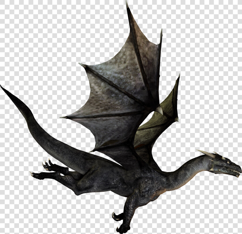 Flying Dragon No Background   Png Download   Dragon With Transparent Background  Png DownloadTransparent PNG