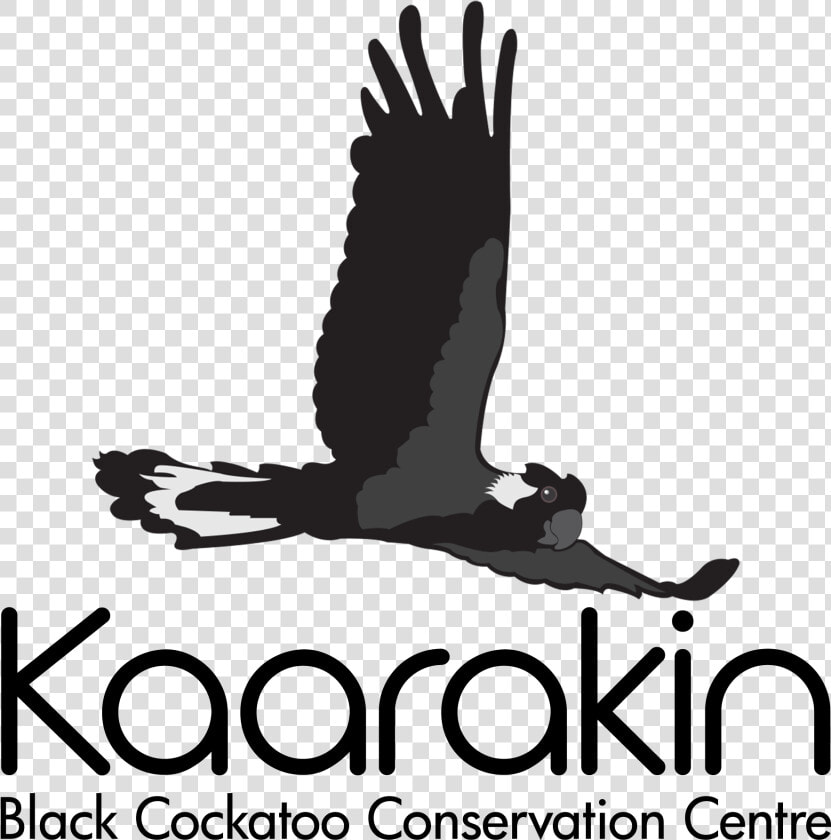 Kaarakin Black Cockatoo Conservation Centre Logo  HD Png DownloadTransparent PNG