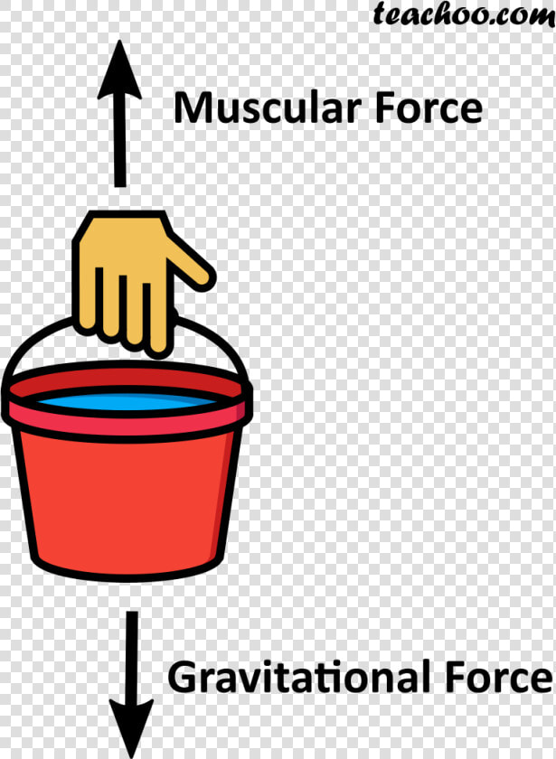 Muscular And Gravitational Force On A Bucket   Gravitational Force For Class 8  HD Png DownloadTransparent PNG