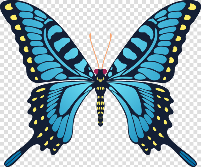 Transparent Yellow Butterfly Clipart   Butterfly Animated Gif  HD Png DownloadTransparent PNG