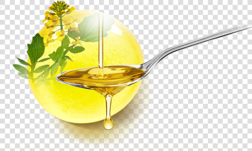 Healthiest Cooking Oils  HD Png DownloadTransparent PNG