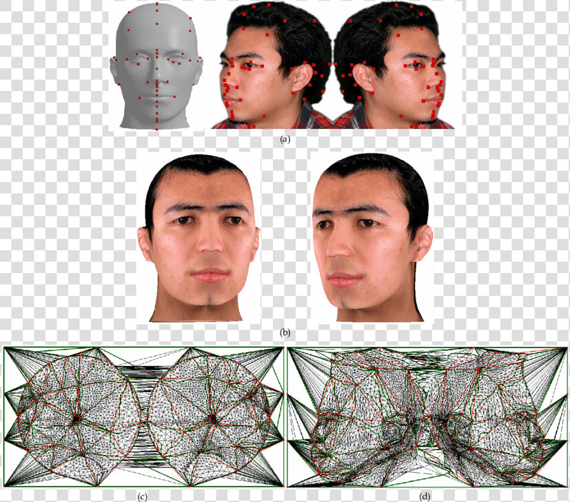 A Hairless Head Model With The Texture Image   Male  HD Png DownloadTransparent PNG