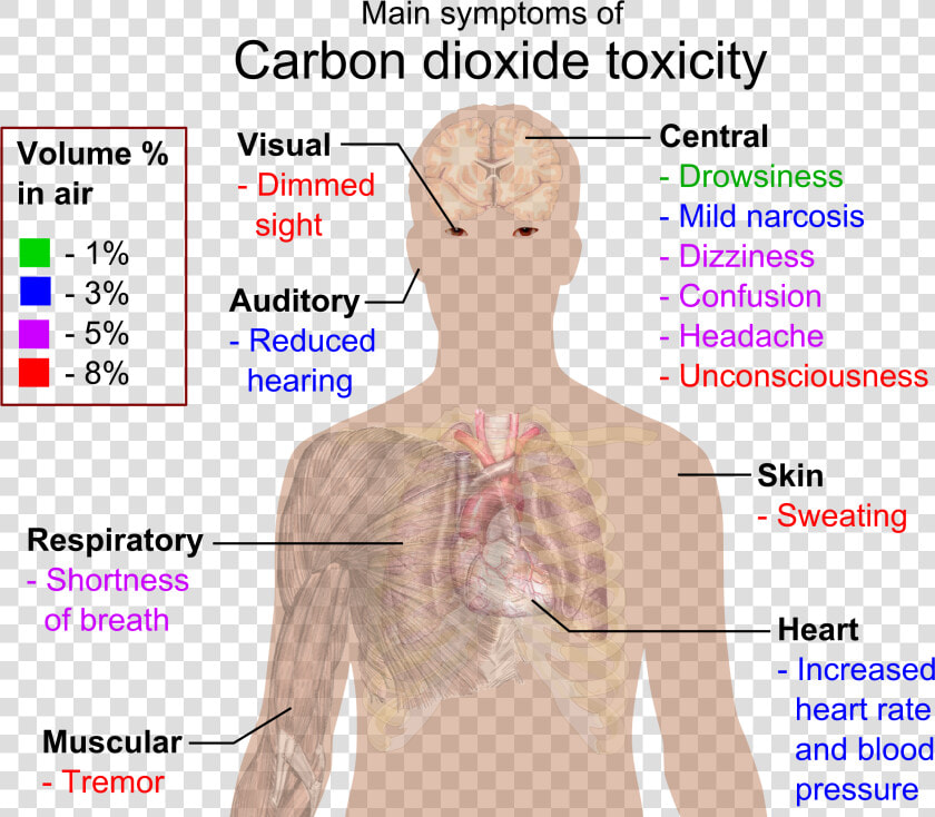 Carbon Dioxide Png  Transparent PngTransparent PNG