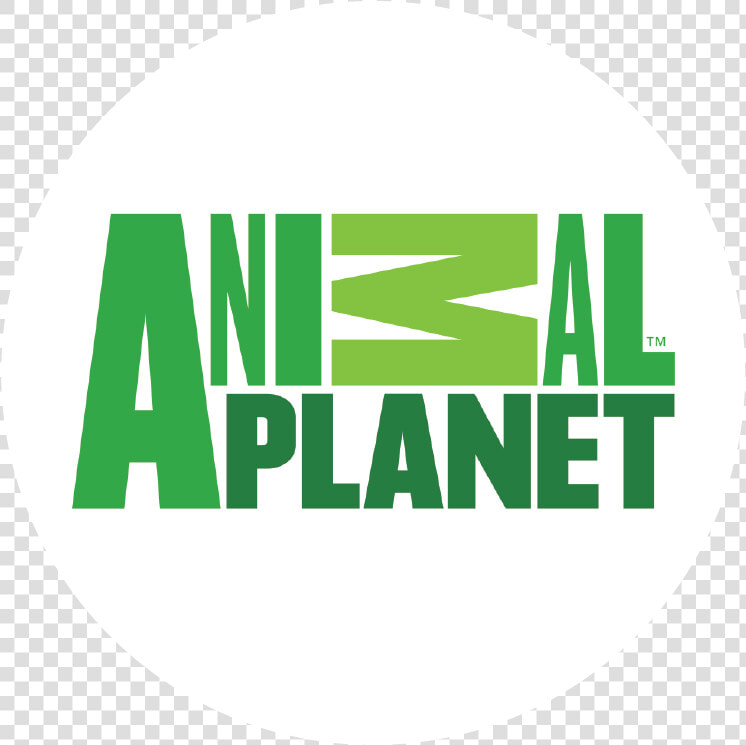 Animal Planet Logo Png   Png Download   Green Nation Live Nation  Transparent PngTransparent PNG