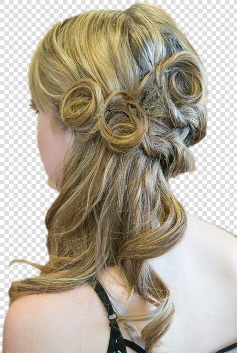 Bushire Salon And Spa   Bun  HD Png DownloadTransparent PNG