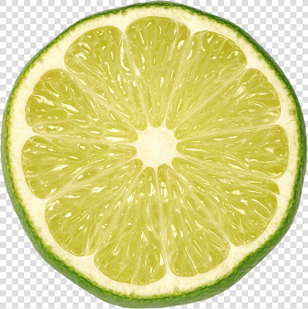 Sliced Lime Png Picture   Lime Png  Transparent PngTransparent PNG