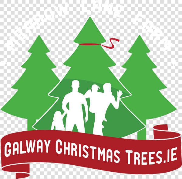 Galway Christmas Trees   Making Christmas Cards  HD Png DownloadTransparent PNG