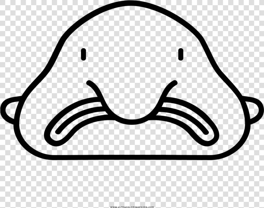 Blobfish Coloring Page   Printable Blobfish Coloring Page  HD Png DownloadTransparent PNG