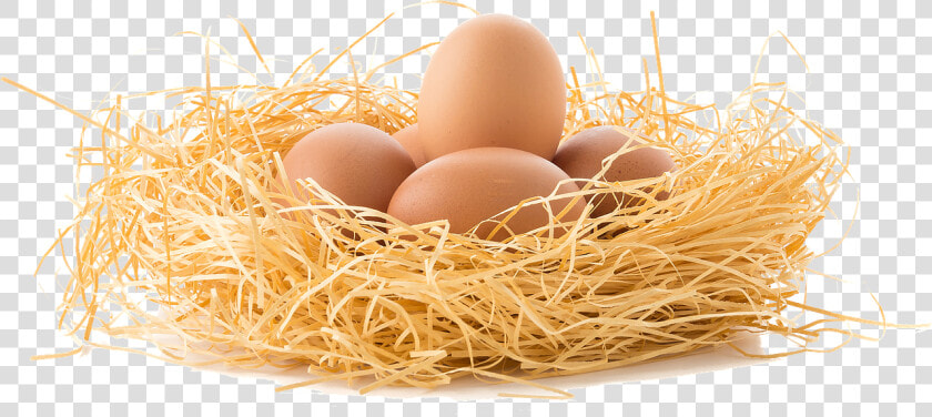 Brown Eggs Png   Eggs In Nest Png  Transparent PngTransparent PNG