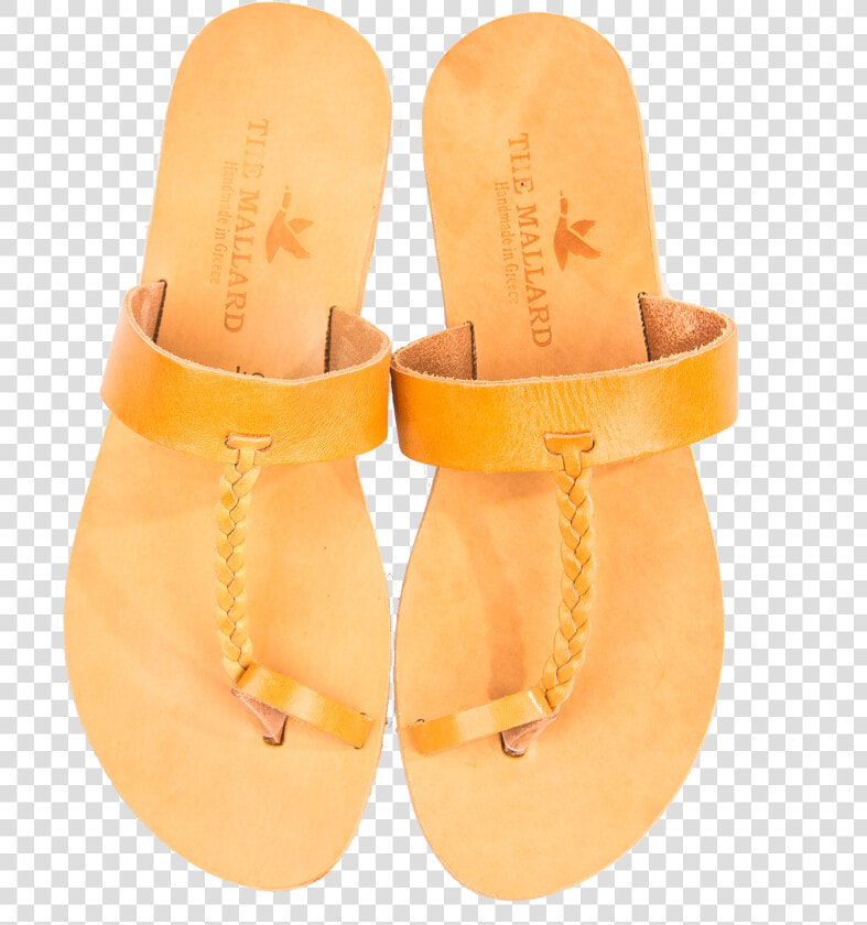 The Aristotle   The Mallard     Flip flops  HD Png DownloadTransparent PNG