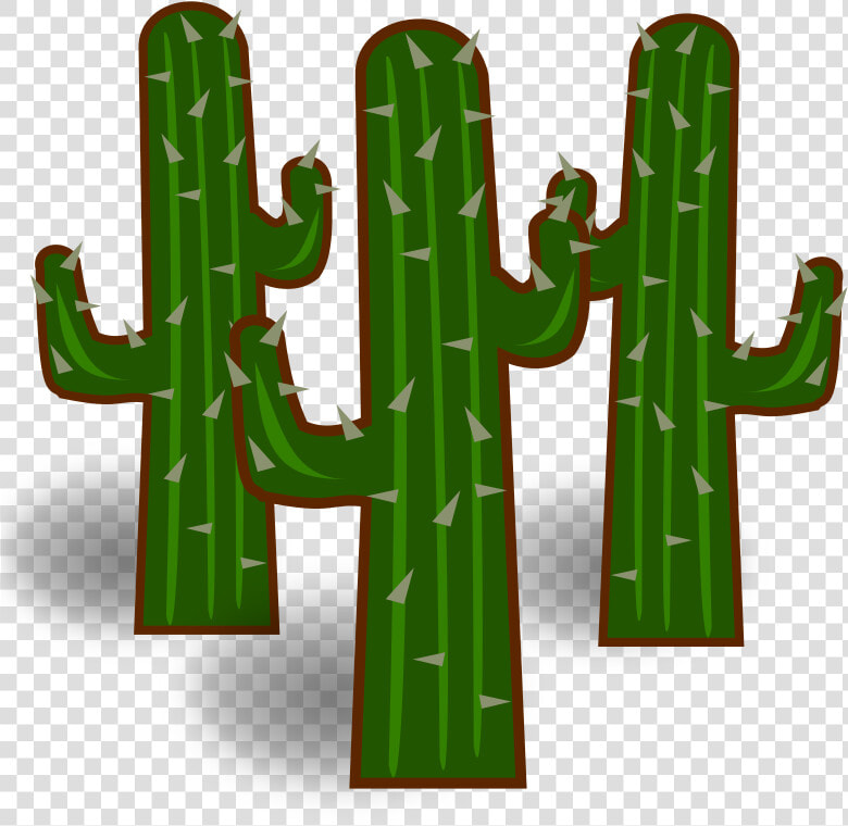 Cactus Transparent Clipart Png   Transparent Background Clipart Cactus  Png DownloadTransparent PNG