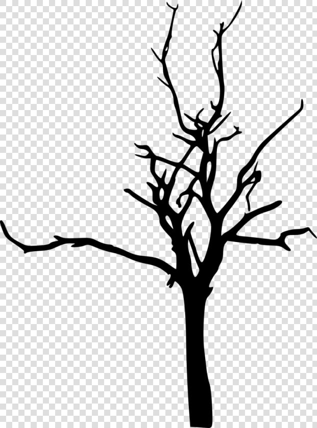 Portable Network Graphics Clip Art Silhouette Tree   Simple Silhouette Of A Tree  HD Png DownloadTransparent PNG