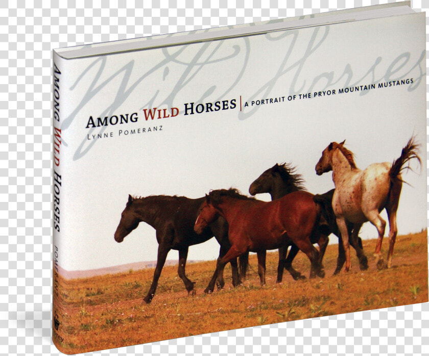 Cover   Wild Horse Mustang Quotes  HD Png DownloadTransparent PNG