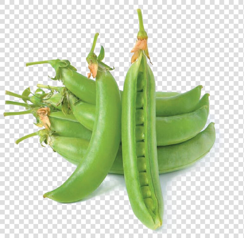 Pea Png Hd Quality   Snap Pea  Transparent PngTransparent PNG