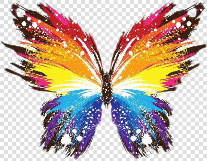  wings  butterfly  butterflys  colorful  yellow  red   Colourful Butterfly Wings  HD Png DownloadTransparent PNG