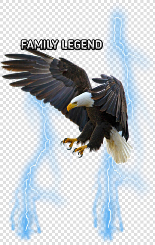  freetoedit eemput  png  eagle  lightning  blue   Flying Eagle Drawing Colored  Transparent PngTransparent PNG