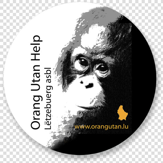 Orang Utan Help Letzebuerg  HD Png DownloadTransparent PNG