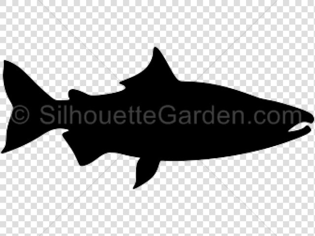 Salmon Clipart Knowledge   Life Quotes  HD Png DownloadTransparent PNG