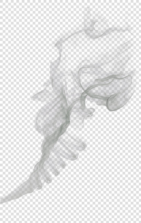 Svg Black And White Library Humo Colorfull Color Colorido   Picsart Smoke Png  Transparent PngTransparent PNG