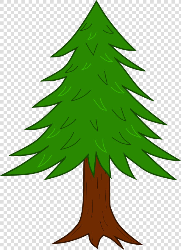 Wtf Scatterbrain Coniferoustree   Forest Tree Drawing With Color Png  Transparent PngTransparent PNG