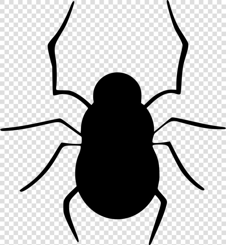 Bug Halloween Insect Spider Spiderweb Web   Vector Graphics  HD Png DownloadTransparent PNG