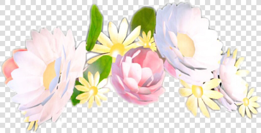 Snapchat Drawing Flower   Snapchat Filters Flower Crown  HD Png DownloadTransparent PNG