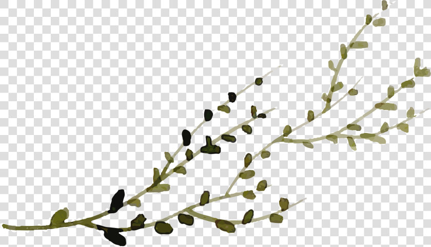 Twig  HD Png DownloadTransparent PNG