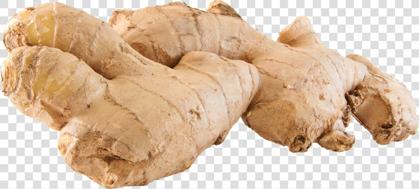 Ginger Png   Gingers Png  Transparent PngTransparent PNG