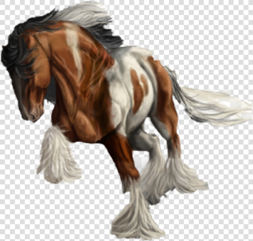  frison  pinto  caballos  HD Png DownloadTransparent PNG