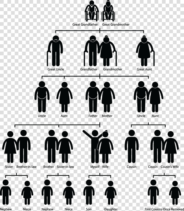 Family Tree Symbol Sign   Generational Curse  HD Png DownloadTransparent PNG