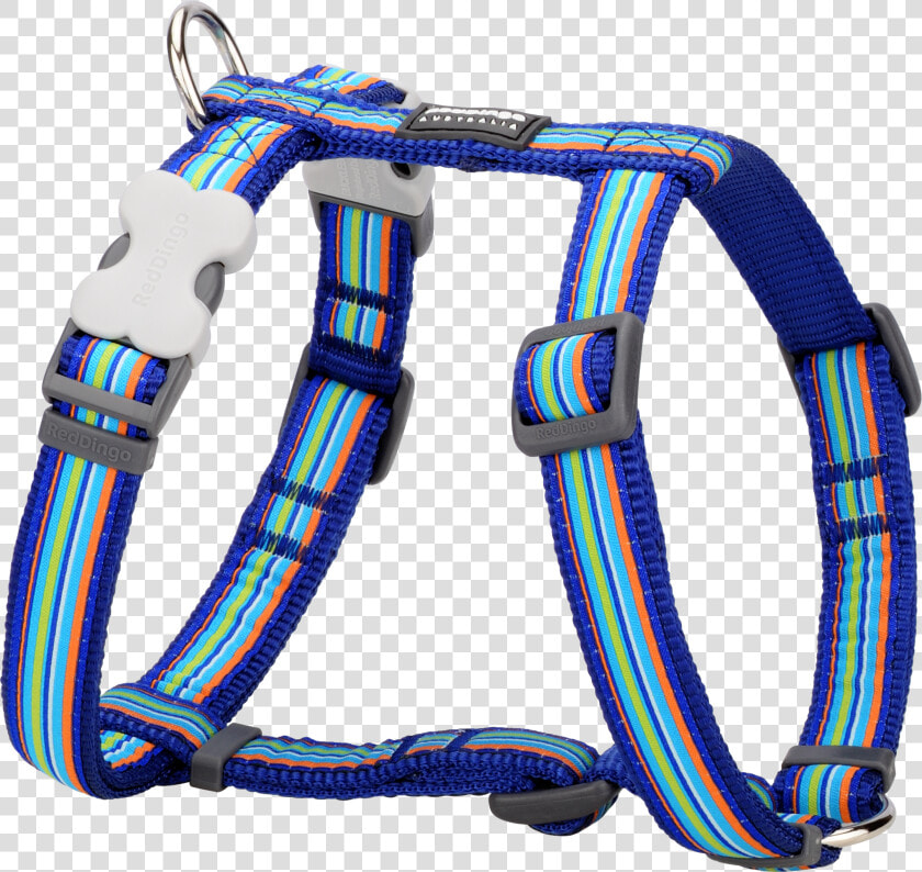 Reindeer Harness Png   Red Dingo Harness Blue Stripe  Transparent PngTransparent PNG