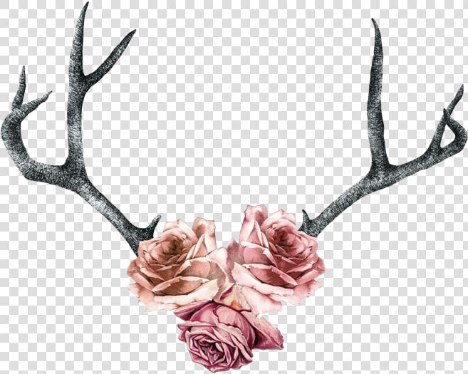 Clip Deer Antler Tattoo Horn   Deer Antler And Flower Tattoo  HD Png DownloadTransparent PNG