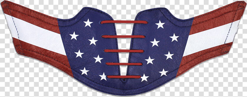 Men S Usa Flag Saddles Flat Saddle View From Jack Grace   Flag Of The United States  HD Png DownloadTransparent PNG