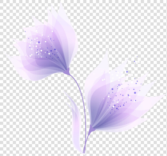 Purple Abstract Fantasy Flowers Png Download   Tulipa Humilis  Transparent PngTransparent PNG