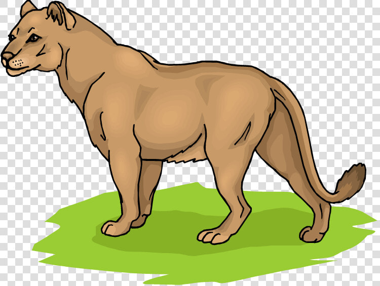 Lioness Clipart  HD Png DownloadTransparent PNG