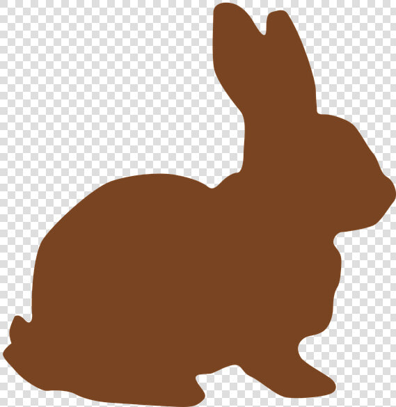 Bunny  Chocolate  Easter  Rabbit  Animal   Transparent Background Bunny Clipart  HD Png DownloadTransparent PNG