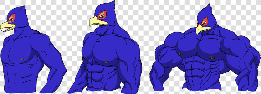 Falco S Sizes   Falco Muscle  HD Png DownloadTransparent PNG